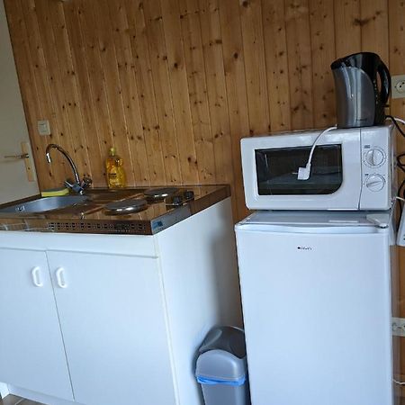 Au Petit Chalet D'Illiers Combray - Salle D'Eau Uniquement المظهر الخارجي الصورة