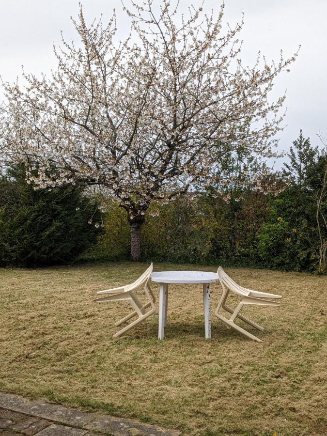 Au Petit Chalet D'Illiers Combray - Salle D'Eau Uniquement المظهر الخارجي الصورة